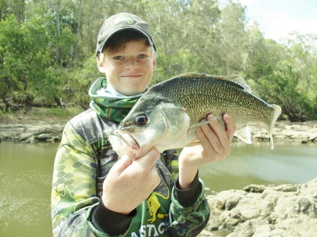 Fat Australian Bass from a previouse fishing sesh 